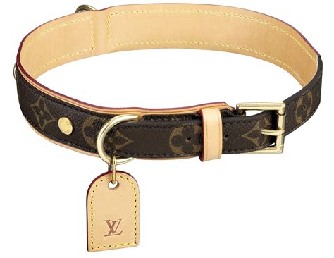 white louis vuitton dog collar|luxury dog collars Louis Vuitton.